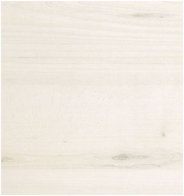 0220 TILIA TREE