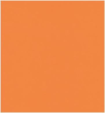 0402 ORANGE