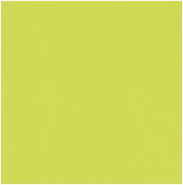 0408 LIME