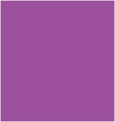 0409 PURPLE