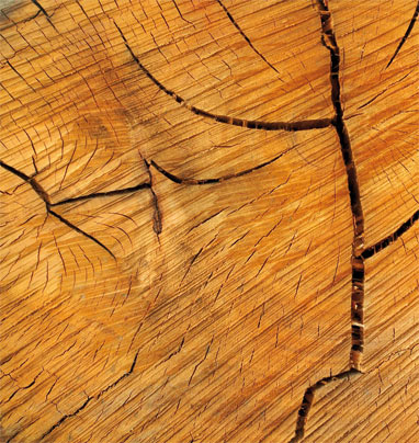 9047 WOOD