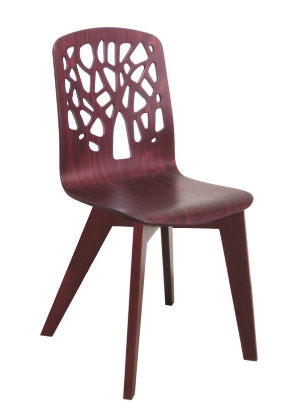 CHAIR KRIM TREE NATURE