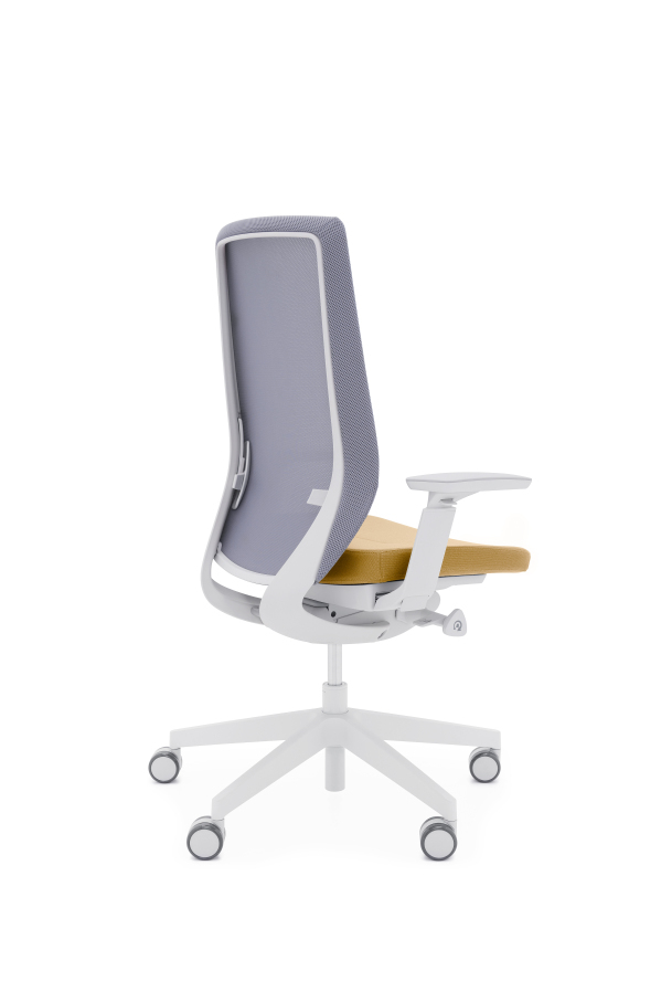 Office chair Accis Pro