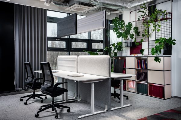 Acoustic Panel Colline x Terrano