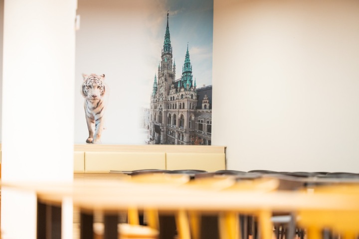 Nástěnná grafika s motivem bílého tygra a liberecké radnice – symboly města Liberec